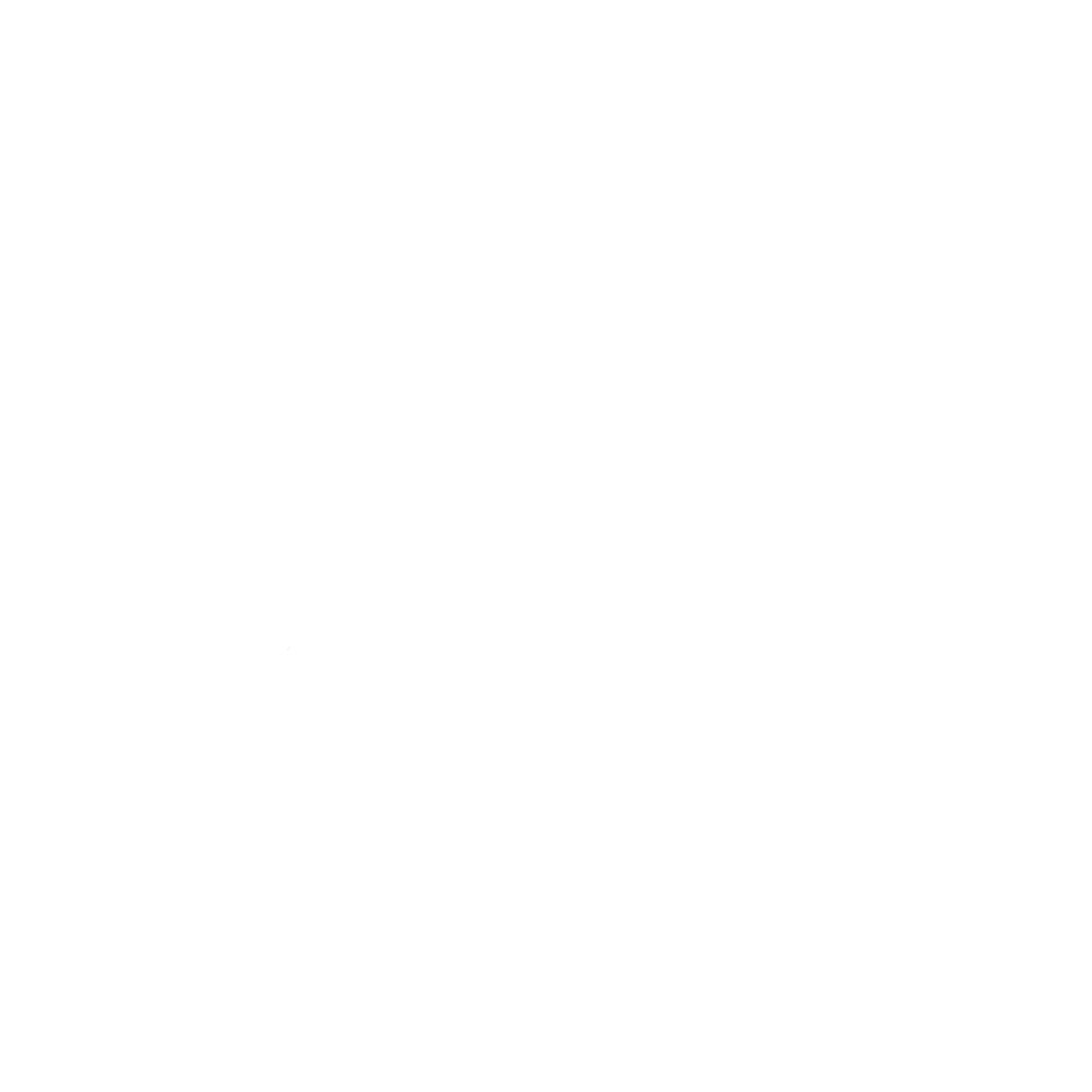 Bodencia logo